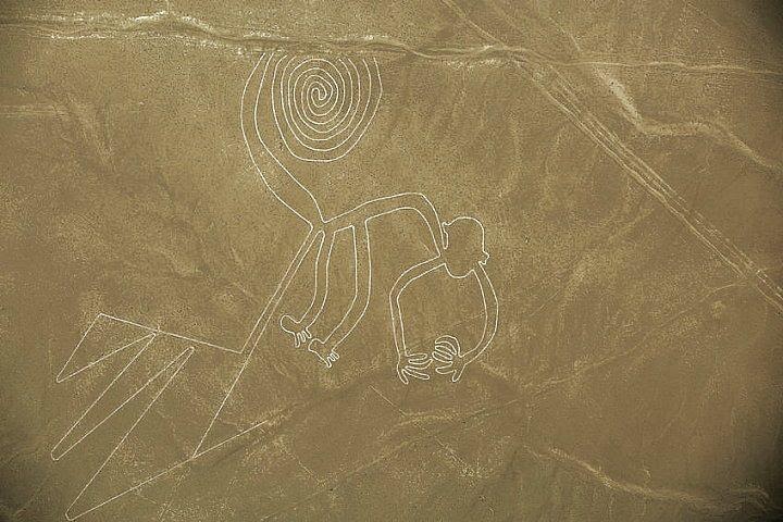 Géoglyphe “singe” Nazca