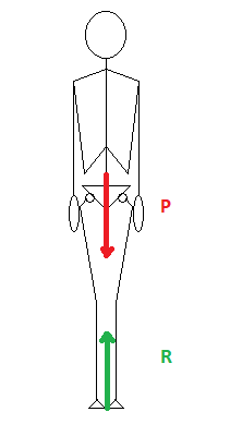 Figure 1 : Forces Appliqués au corps