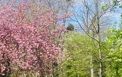 Stages de mars et collaboration