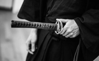 Stages et cours de fin de trimestre
